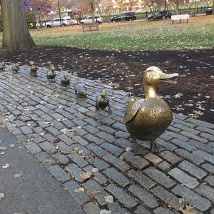 Meet your Posher, Sharon